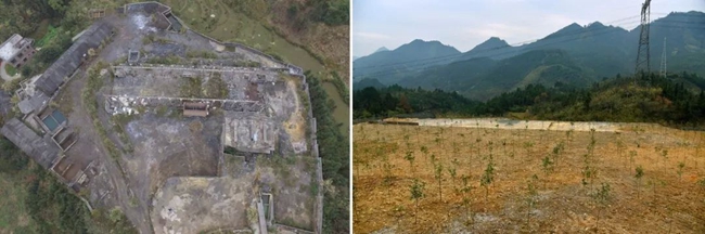 640 (10)_效果-5b195e88-b29d-4278-9b22-e1be75357d37 (1).jpg