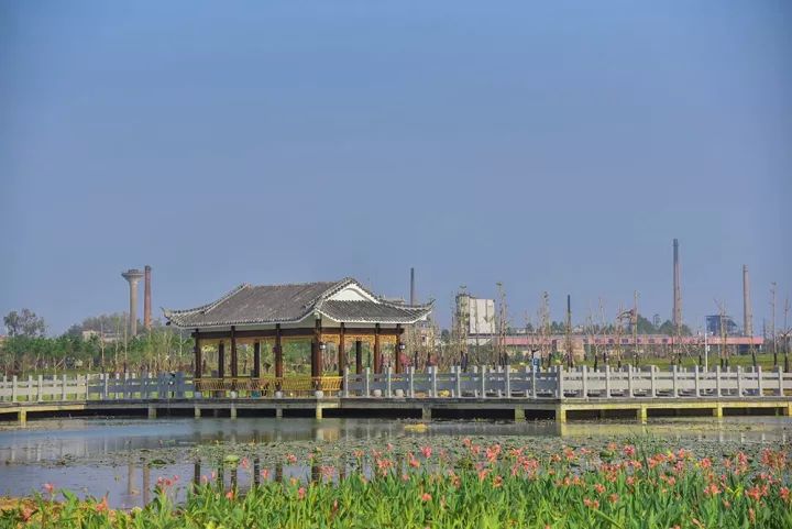 640 (10)_效果-6ca82c51-14cc-4a29-aa0f-45374a3a99ba.jpg