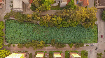 喜讯｜腾博官网中标广西大学水污染治理项目