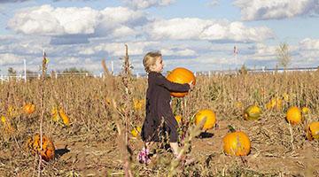 收获季｜“金九银十”腾博官网效果单亮眼