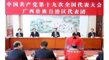 李克强加入党的十九大广西壮族自治区代表团讨论