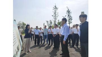 泗阳县党政代表团莅临泗洪腾博官网考察