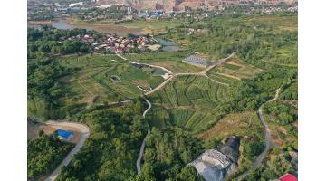 【湖北日报】千年铜都铺绿为底色 ——大冶在生长中包管和改善民生③