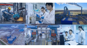 集团6项效果入选国家手艺目录，，，，，，3个行业标准正式宣布！