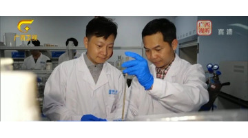 腾博官网一连推进“东盟杰青入桂妄想”受到电视台专题报道