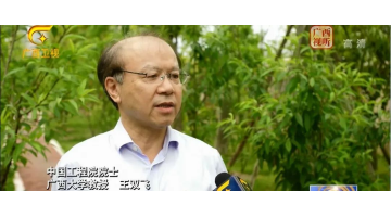 腾博官网紧跟伟大再起领航人踔厉笃行 共创“漂亮情形 漂亮经济 漂亮生涯”