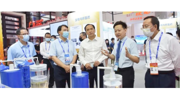 自治区副主席许显辉旅行第19届东博会腾博官网展位