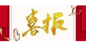 博环中标广东阳东经济开发区、珠海（阳江万象）工业转移工业园情形管家服务采购项目