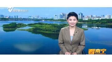 南宁都会生涯《看南宁》报道2023年双碳配景下情形影响评价学术论坛