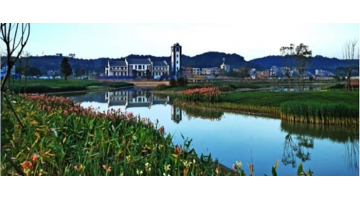 喜报！腾博官网荣获梧州、崇左市修建业“评先评优”多项奖项