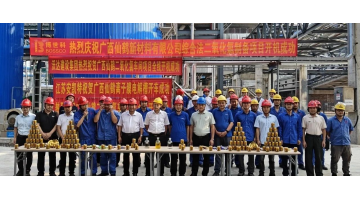 双电解法再突破 | 腾博官网供货的广西仙鹤二氧化氯项目全线开机乐成