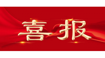 腾博官网股份项目获广西科技前进奖